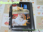 IMG_0093Rs.JPG