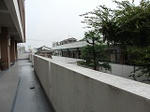 pCIMG0127.jpg