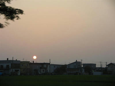 夕陽