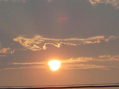 taiyo