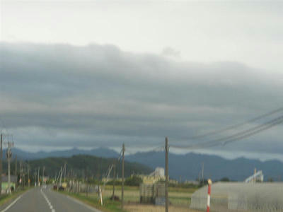 くも・・・