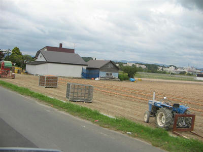 tamanegi