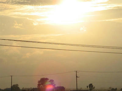 hikari