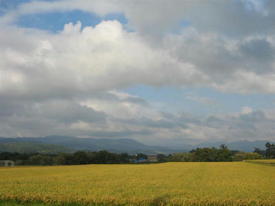 iwamizawa