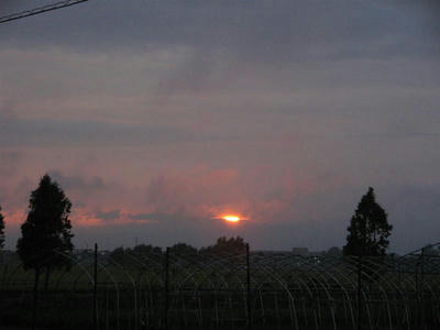 夕陽だってばさぁ