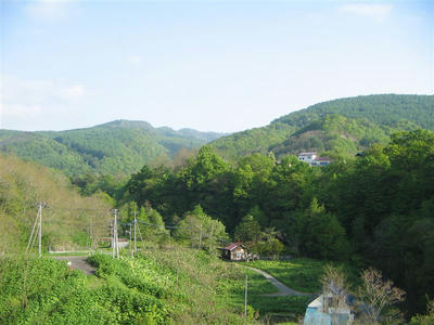 万字
