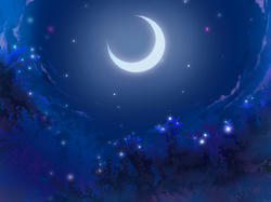 5c98d7b7.jpg