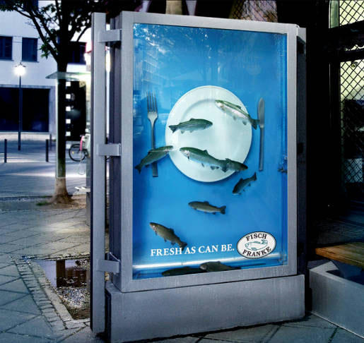 fishfranke.jpg