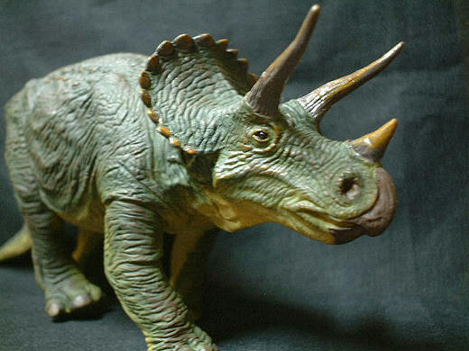 triceratops.jpg