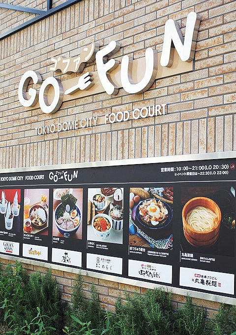 gofun.jpg