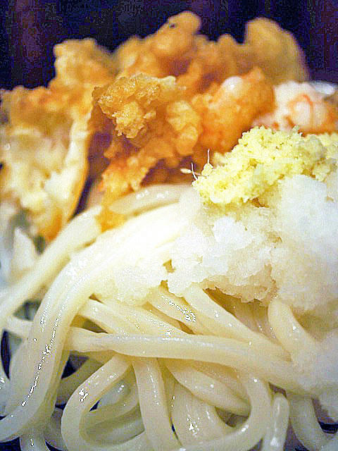 udon1.jpg
