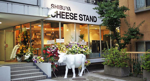 cheese.jpg