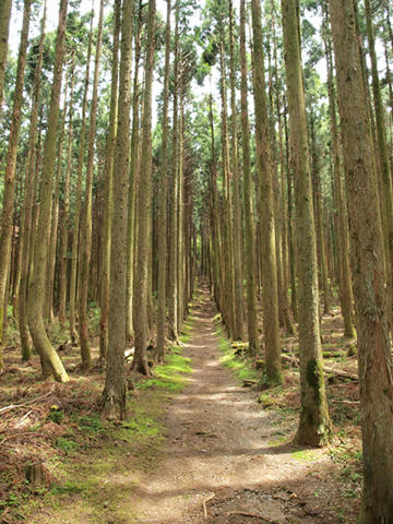 富貴野山宝蔵院　スタート地点