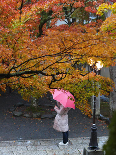 修禅寺　紅葉