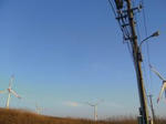 40e52edb.jpg