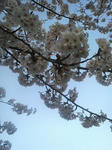 200804161722000.jpg