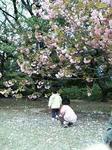 200804191411000.jpg