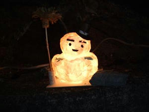 DSCF1647.jpg