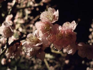 DSCF2303.JPG