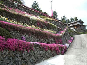 DSCF2698.JPG