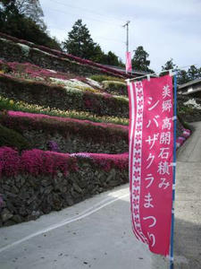 DSCF2700.JPG