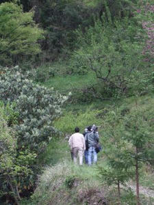 DSCF2711.JPG