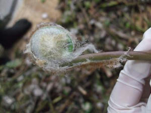 DSCF2760.JPG