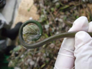 DSCF2762.JPG