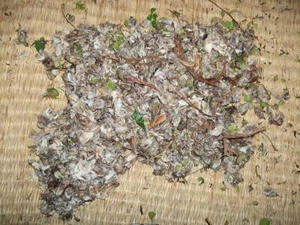 DSCF2770.JPG