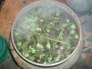 DSCF2792.JPG