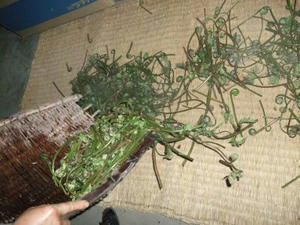 DSCF2800.JPG