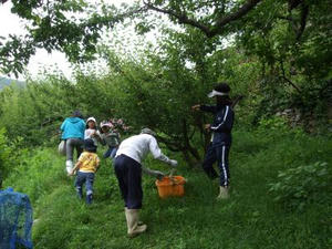 DSCF2872.JPG