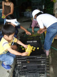 DSCF2886.JPG