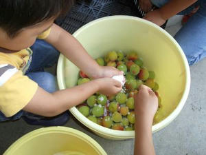 DSCF2898.JPG