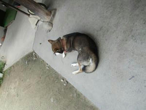 DSCF3097.JPG