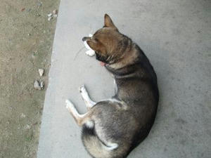 DSCF3098.JPG