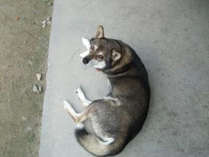 DSCF3099.JPG