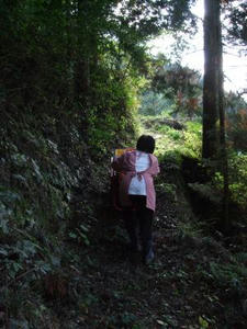 DSCF3775.JPG