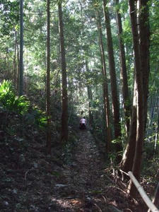 DSCF3789.JPG