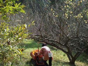 DSCF3791.JPG