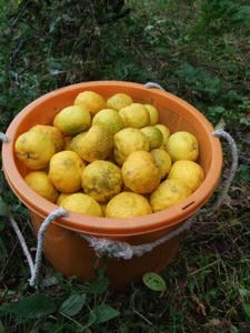 DSCF3798.JPG