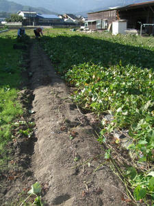 DSCF6656.JPG