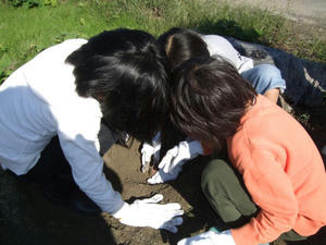 DSCF6670.JPG