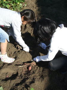 DSCF6677.JPG