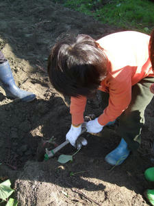 DSCF6680.JPG