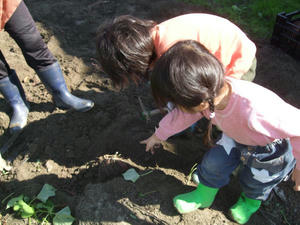 DSCF6681.JPG