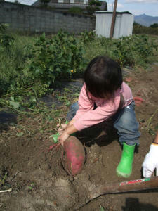 DSCF6683.jpg