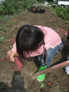 DSCF6684.JPG