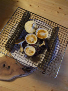 DSCF1059.JPG