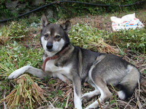 DSCF1228.JPG